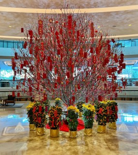Happy Lunar New Year
Wishing everyone joy, prosperity and good fortune in the Year of the Horse. May this lunar new year bring you renewed hope and vibrant connections!
恭賀新禧,馬年大吉!
謹祝您馬年喜樂安康、福運綿長、萬事順遂!願新春為您帶來嶄新的希望。
@newworldhotels #RisewiththeHorseNewYearNewWorld #NewYearNewWorld #NewWorldHotels #新世界酒店及度假村 #萬馬奔騰新火相傳